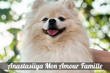 Anastasiiya Mon Amour Famille