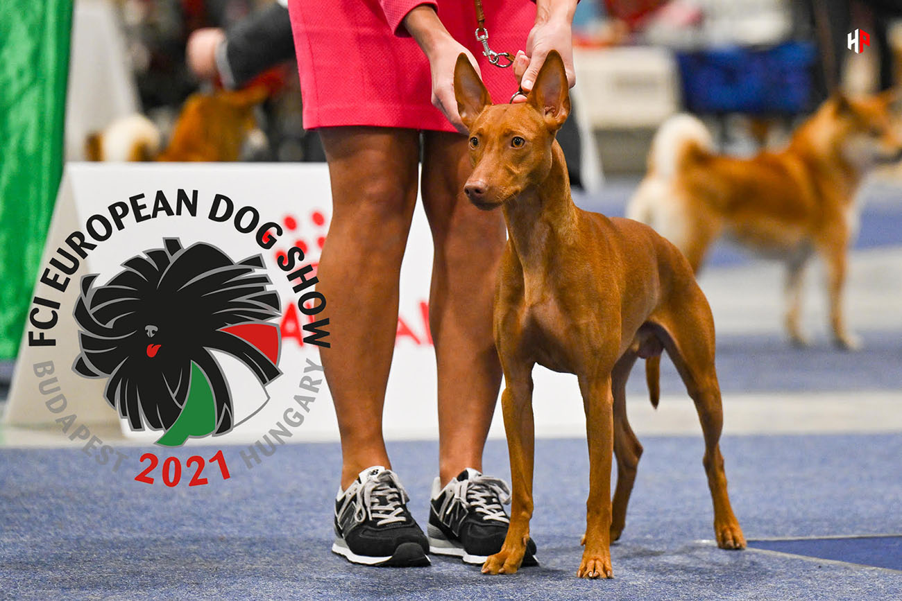 WW 2021 Silvento Orion