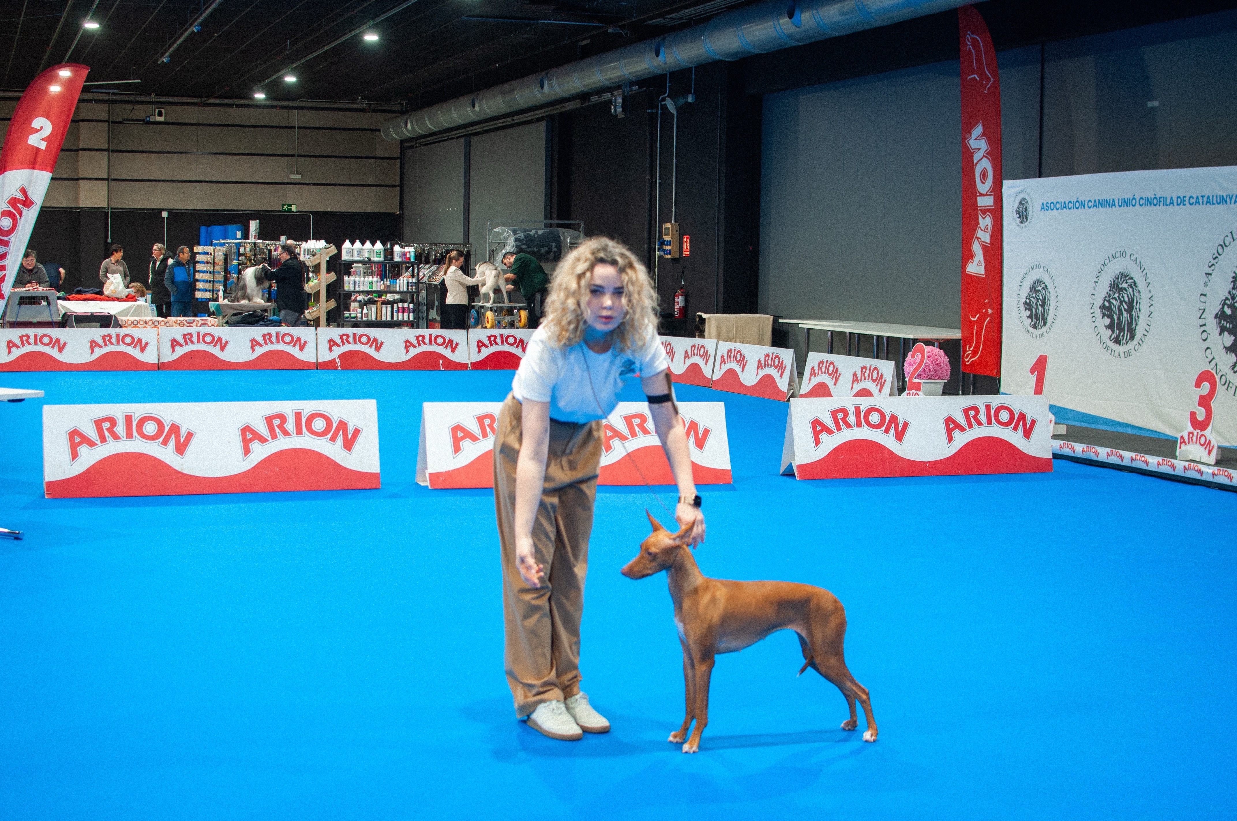 Spain · Reus · 2×CACIB 24-25.01.2026