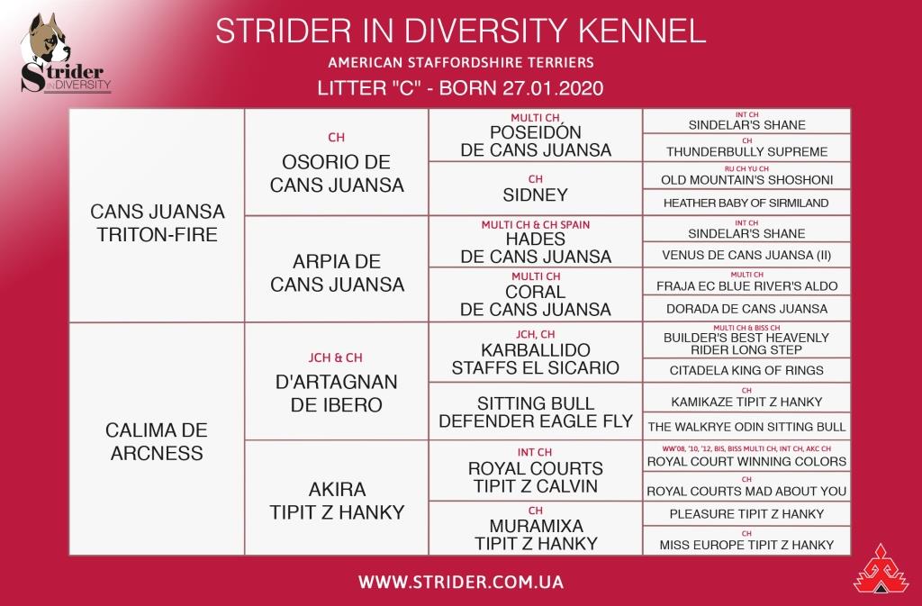 Cordelia Strider in Diversity