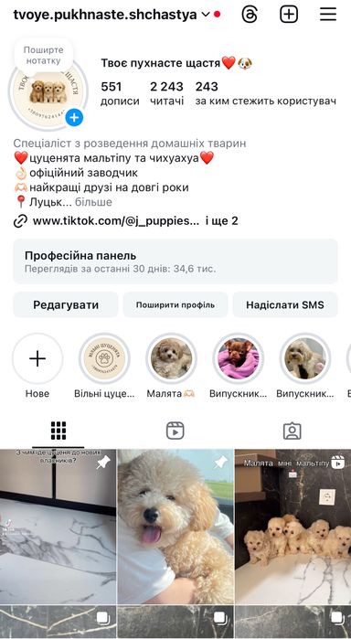 Дівчинка мальтіпу міні ф1 2