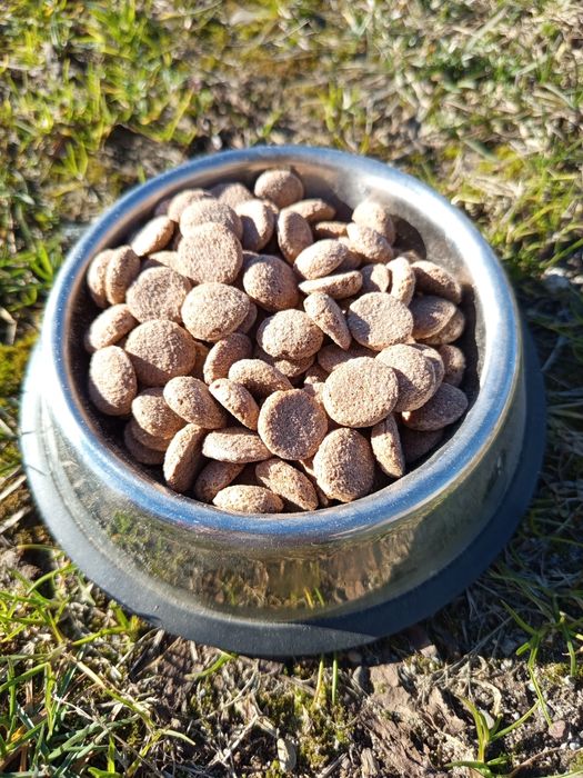 Корм для собак Spiky 20кг зі смаком яловичини 2