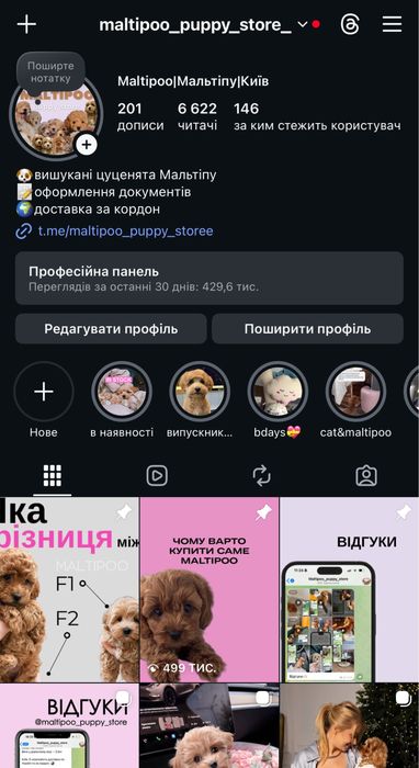 Крихітки мальтіпу F1 caramel 2