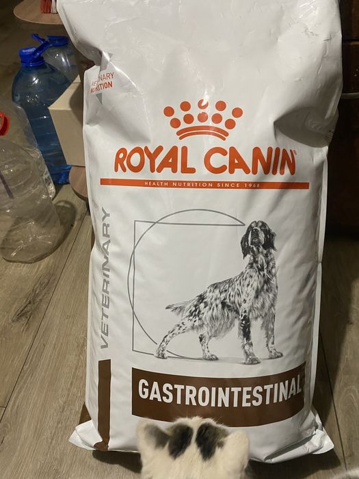 Royal Canin Gastrointestinal — лікувальний корм