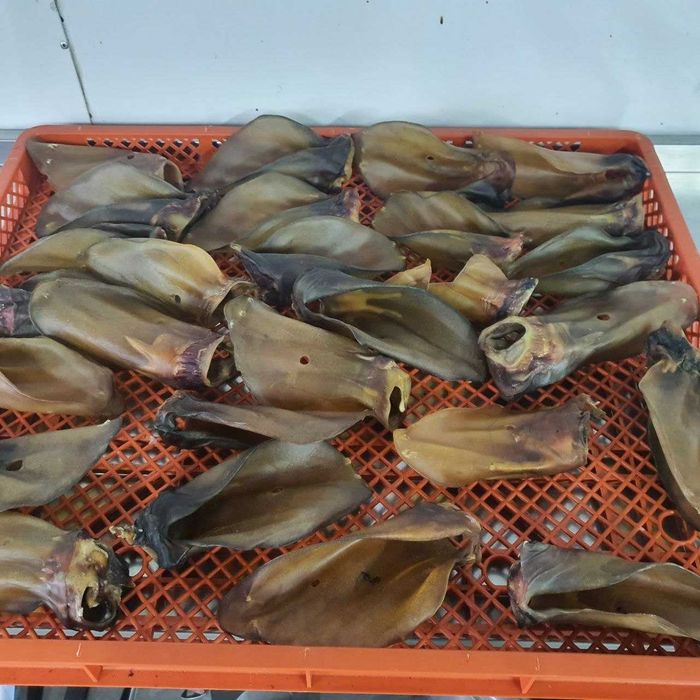 Вуха кролячі сушені — смаколики для собак 2