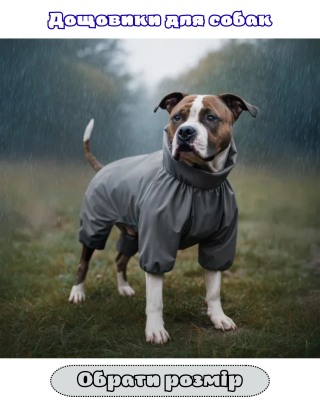 НАЗВА РОЗПЛІДНИКА