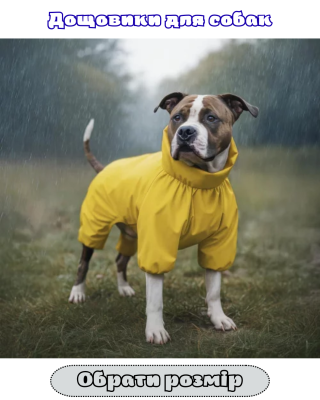 НАЗВА РОЗПЛІДНИКА