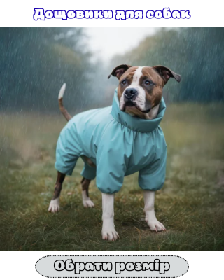 НАЗВА РОЗПЛІДНИКА