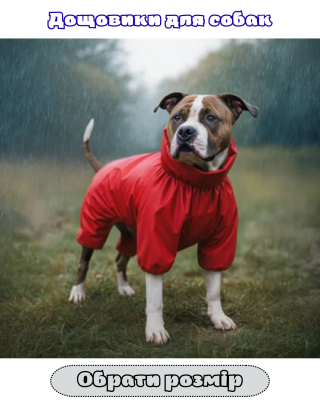 НАЗВА РОЗПЛІДНИКА